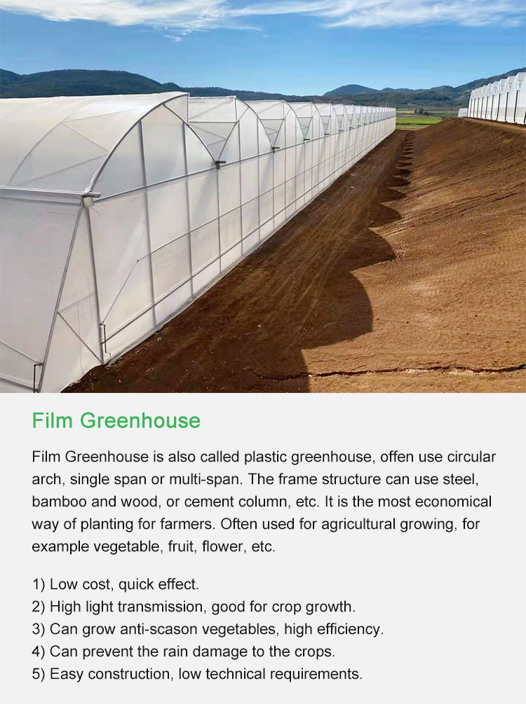 Film Greenhouse is also called plastic greenhouse